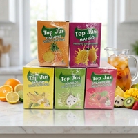 Poudre de boisson instantanée aromatisée aux fruits, 10g pour 2L d'eau, 24 sachets par boîte, 24 boîtes par carton, vente en gros, personnalisable