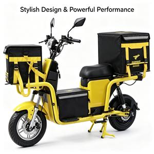 2026 Hot Sale 800W Delivery Bike for Adults City E-Bike 3 Speed Lithium Rear <b>Hub</b> Motor LCD Display Carbon - Product Image 4
