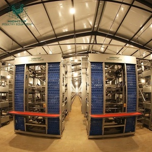 Jaulas para Gallinas Ponedoras Tipo H Totalmente Automáticas con Sistema de Eliminación de Estiércol para 35000 Aves, Cría Avícola a Gran Escala - Product Image 1