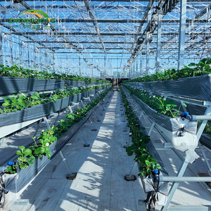 ZN Grandes serres commerciales, kits de serres agricoles, serres intelligentes, PVC, jardin botanique, hydroponie, culture en <span class=keywords><strong>intérieur</strong></span> - Product Image 6