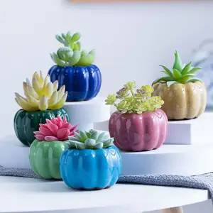 Pot bunga retak es, Pot bunga segar warna Pot kecil tanaman hijau Interior meja