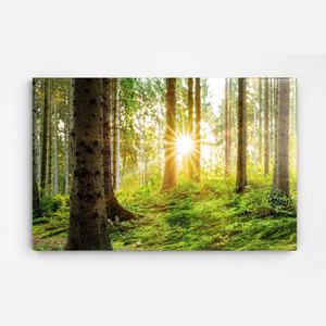 Stampa d'Arte Murale con Paesaggio al Tramonto, Immagine di <span class=keywords><strong>Natura</strong></span> per Soggiorno, Hall d'Hotel, Ufficio, Interni Moderni e Rilassanti - Product Image 6