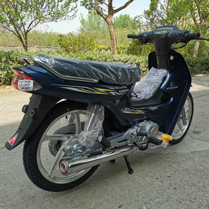 <span class=keywords><strong>110cc</strong></span> دراجة نارية 110-9 محرك دراجة نارية بكوب البنزين أفريقيا أمريكا الجنوبية آسيا الصين الصانع - Product Image 4