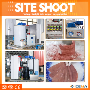 Máquina de <span class=keywords><strong>Hielo</strong></span> en Escamas Comercial de Alta Resistencia 2T, 2000KG, Automática, <span class=keywords><strong>para</strong></span> Bares y Laboratorios Médicos - Product Image 4