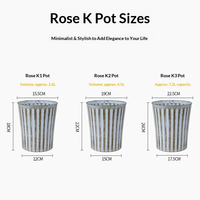 Pot de fleurs universel fin renforcé, style chinois, à rayures, pour roses, respirant, durable, pour balcon, 3 couleurs au choix
