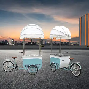 Larger Capacity Mobile Stall Facilitate Gelato Display Freezer Ice Cream Freezer Cart Tricycle Bicycle Ice Cream