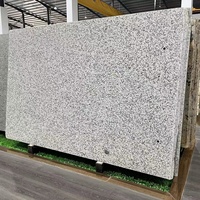Tuile polie de granit naturel blanc du Cachemire pour des projets d'hôtel avec la capacité de solution de conception graphique