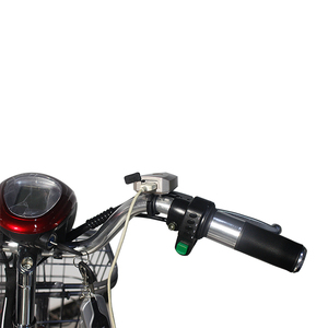 Bicicleta Eléctrica Portátil de 20 Pulgadas con Batería de Litio Extraíble - Product Image 5