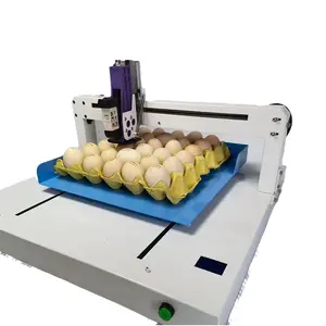 Automatic Egg Inkjet Printer Small Full Plate Inkjet Printing Production Date Serial Number Egg Spray Printer