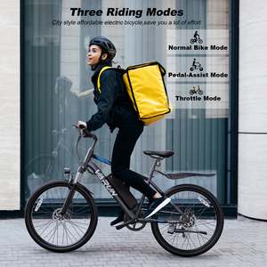 Factory Stock VARUN 24" Mountain Ebike 350W Front Suspension 50KM Range Shimano 7-Speed Daily Commute Adults CA Warehouse - Product Image 3