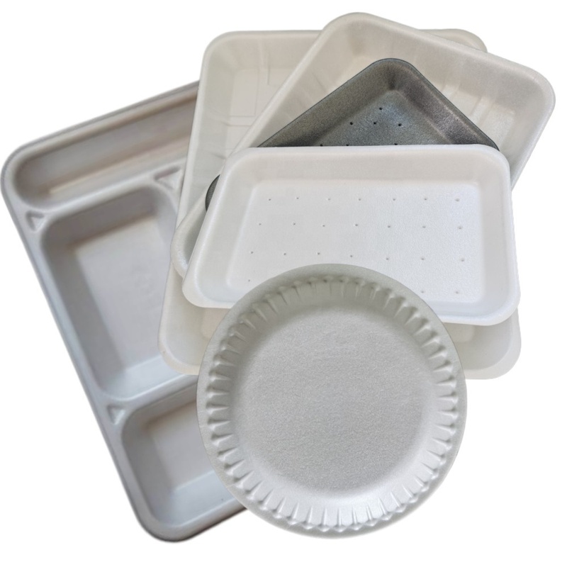 Polystyrene GPPS Foam Dishes Tray Making