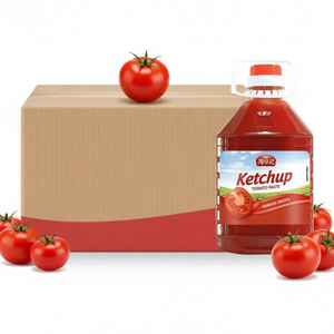 Salsa de tomate para pan, pizza, hot dog y sándwiches, 30 g x 20 bolsas por caja, condimento de tomate de China - Product Image 1