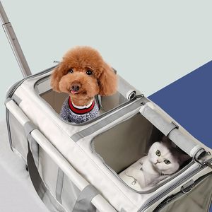 Factory Pet Cat Carrier Bag con <span class=keywords><strong>ruedas</strong></span> Pet Carriers Bolsa de viaje Hatchback Pet <span class=keywords><strong>Trolley</strong></span> Box Doble compartimento para 2 gatos Cachorros - Product Image 5