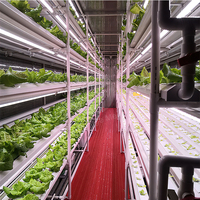 Ferme hydroponique verticale ORME pour la culture de la laitue commerciale dans un conteneur d'expédition de 40 pieds