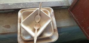 Platos de hoja de areca desechables de primera calidad y platos de patrón de plantas ecológicos para cuencos y platos de camping - Product Image 4