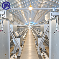 Système de cages avicoles polyvalent type H pour élevage de canards, revêtement anti-usure qianmu, pour ferme commerciale, capacité 10000-80000 oiseaux, Bamako, Mali