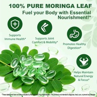 Complément alimentaire en gélules d'extrait de feuilles de Moringa, soutien digestif, capsules de superaliment vert Moringa pour le bien-être général