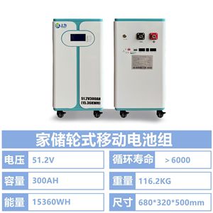 Sistema de Gestión de Baterías (BMS) para Almacenamiento de Energía LiFePO4 51.2V Todo en Uno para Uso Doméstico Fuera de la Red - Product Image 5