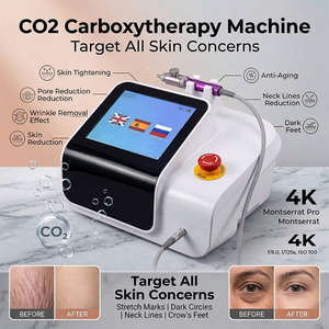 Appareil portable de carboxythérapie <span class=keywords><strong>CO2</strong></span> Plus CDT pour l'élimination des vergetures et des cicatrices, le rajeunissement de la peau, la réduction de la cellulite, machine de beauté - Product Image 2