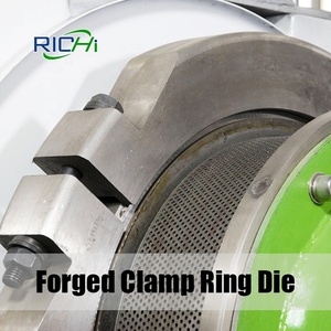 Machine à granulés de <span class=keywords><strong>bois</strong></span> certifiée CE de 1 tonne par heure de la marque chinoise RICHI avec moteur, engrenage et roulement pour bio-pellets - Product Image 3
