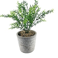 Pot de fleurs en ciment pour plantes succulentes, à prix d'usine, pour jardin, sol ou bureau, et jardinière en pierre pour plantes
