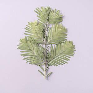 <span class=keywords><strong>Metasequoia</strong></span> fleur séchée en relief fleur pressée vraie feuille spécimen de plante vraie feuille vraie fleur matériel de bricolage - Product Image 2