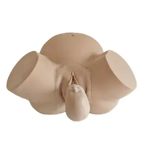 نموذج تدريب قِبالة متقدم نموذج تعليمي للولادة البشرية نموذج تفرير بشري - Product Image 1