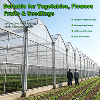 Serre agricole commerciale à haute performance, multi-travées, à ossature dentelée galvanisée à chaud, pour la culture de tomates et de fraises - Ventes Flash