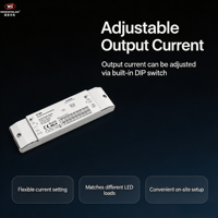 Driver LED à courant constant et gradation Triac 30W 150-900mA TF-30A