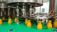 Prix compétitif Café glacé infusé à froid Jus de pomme et d'orange Ligne de production d'embouteillage