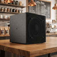 Haut-parleur coaxial X5 de 5 pouces, 150W, système PA passif, enceinte colonne carrée professionnelle, coque en bois, écologique, durable, pour magasin et salle