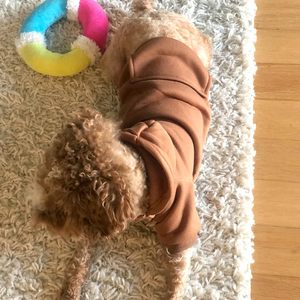 Moletom Clássico de Inverno para Cães com Bolsos, Roupa Quente de Lã para Animais de Estimação Pequenos, Chihuahua e Filhotes (Café XX-Pequeno) OEM/ODM - Product Image 2