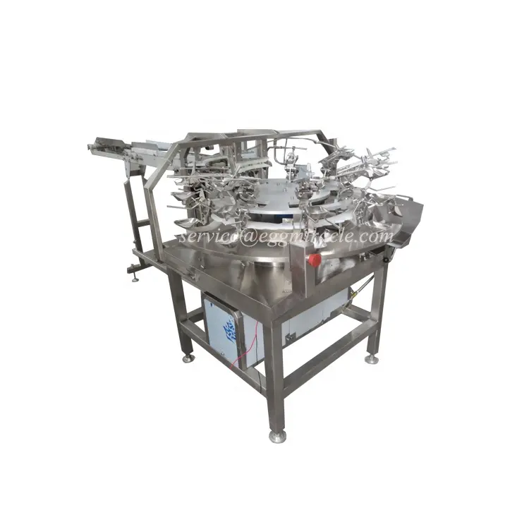 High Extraction Rate Easy Operation Hygienic Health Safety Turntable Egg Breaker Machine