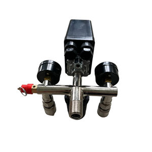 ขายึดสวิตช์เครื่องอัดอากาศ การเปลี่ยนเครื่องอัดอากาศด้วยเกจวัดแรงดันแบบไดอะแฟรมซีล - Product Image 5