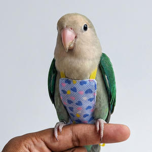 Sabuk Tarik Tali Bebas untuk Burung Beo dari Bahan Polyester dengan Desain Elastis dan Pola Bunga untuk Perlengkapan Berjalan dan Terbang Burung - Product Image 6