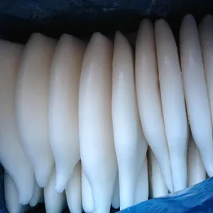 Tubo de calamar congelado, tamaño completo, U3, U5, U7, U10
