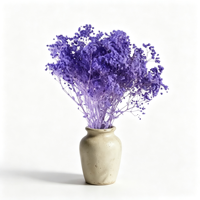 Buket Bunga Gypsophila Baby's Breath Ungu Abadi untuk Dekorasi Vas Pernikahan, Rumah, dan Centerpiece Meja