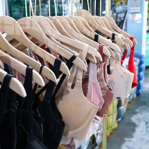 Reggiseni Usati di Alta Qualità all'Ingrosso, Biancheria Intima Sportiva in Cotone, Felpe - Product Image 5