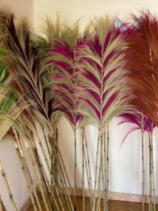 Herbe séchée naturelle écologique de type Pampas Rayung pour remplissage de vase décoratif pour mariage, fête et décoration intérieure - Product Image 3