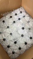 Brosses rondes TDF Picote pour le nettoyage des tuyaux, avec poils en nylon et noyau en POM, pour la plomberie