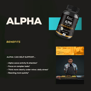 Fabricante de Suplementos Alpha al por Mayor, Ayuda a Mejorar la Memoria con Vitamina B6, 60 Cápsulas Alpha para Hombres y Mujeres - Product Image 2