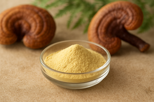 Poudre biotechnologique Ganoderma EVs pour la communication cellulaire, la croissance des cheveux et la prévention de la perte de cheveux - Product Image 4