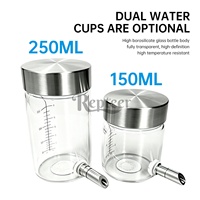 Distributeur d'eau magnétique anti-fuite suspendu en acier inoxydable 304 avec poussoir en verre, léger et écologique pour perroquets et perruches