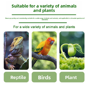 Lampe chauffante en céramique pour reptiles, lumière chauffante pour cage pour lézards, tortues, oiseaux et petits animaux - Product Image 4