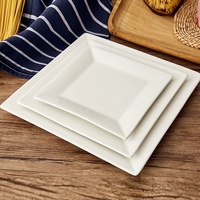 Vente en gros Assiettes à steak plates carrées de fruits en céramique blanche pure de 8 à 12 pouces Vaisselle jetable au design occidental pour hôtels