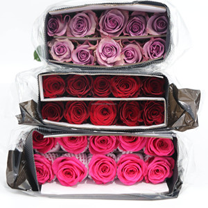 Rosa Rosa Fresca Premium All'ingrosso, Rosa Fresca Tagliata, Centro Floreale DouNan, Bouquet, Beloved Express, Attraverso i Miei Sogni - Product Image 2