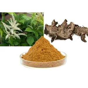 Best Verkopende Black Cohosh Extract Food Grade Organische Black Cohosh Wortel Extract Poeder