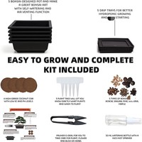 Kit de démarrage pour bonsaï, style américain, écologique, en plastique, pour la maison et le jardin, outils de plantation DIY, ensemble complet de culture