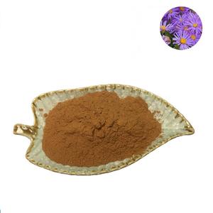 <span class=keywords><strong>Aster</strong></span> <span class=keywords><strong>tataricus</strong></span> gốc & rhizome chiết xuất bột trong kho số lượng lớn - Product Image 1