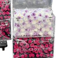 Boîte à fleurs en acrylique avec rose véritable préservée - Cadeau romantique pour la Saint-Valentin pour elle, décoration intérieure avec rose éternelle